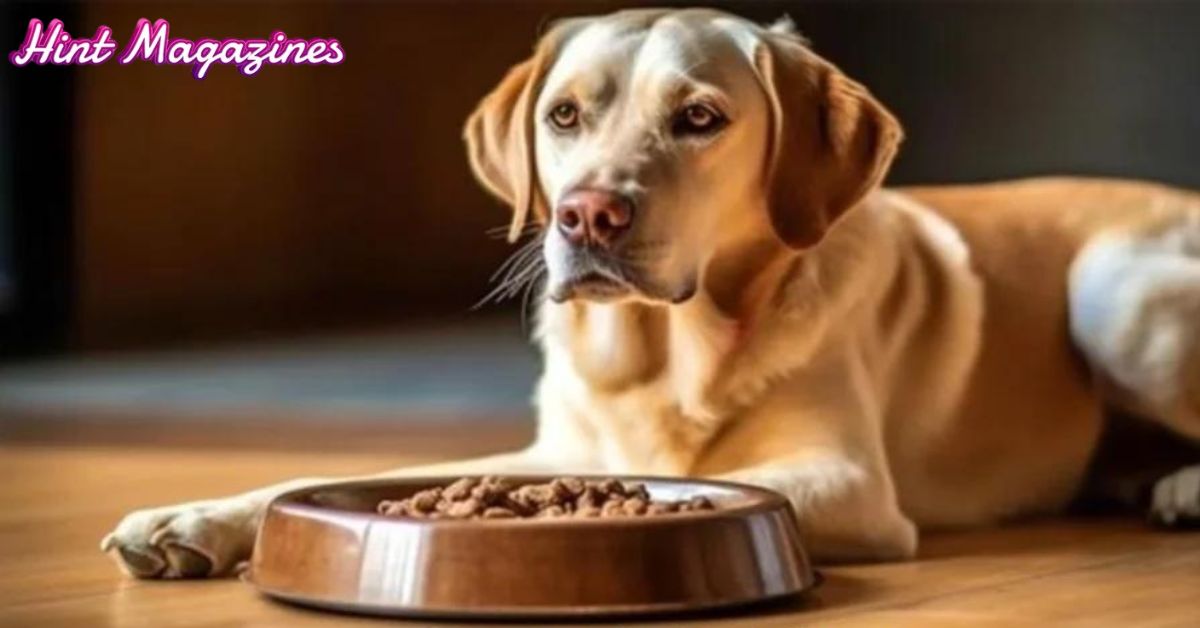 Mwpfsettlement.com | A Step-by-Step Guide to Your Settlement